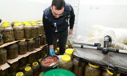 Bursa Osmangazi'de sağlığı tehdit eden 6,5 ton gıda imha edildi