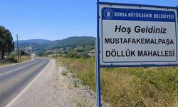 Bursa'nın Döllük Mahallesi'nin ismi değişiyor! Bakın meclis hangi isme karar verdi...