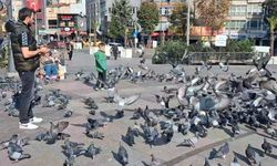 Bir yerde kış bir yerde yaz