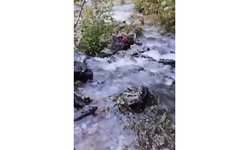 İnegöl’ün İlginç Doğa Olayı Yeniden Yaşandı!