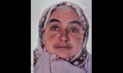 Bursa'da ormanda tüm ekipler onu arıyor...