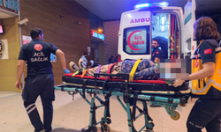 Bursa İnegöl’de kestane toplarken 7 metreden düştü!