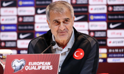 A Milli Takım için Şenol Güneş iddiası!
