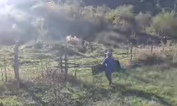 İnegöl Sulhiye Köyüne hırsızlar dadandı!