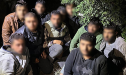 Jandarma ve MİT’ten ortak operasyon: 11 göçmen yakalandı