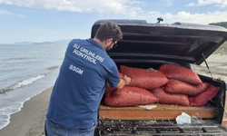 Bursa’da kaçak avcılığa geçit yok: 2 ton 760 kilo kum şırlanı doğaya bırakıldı