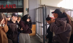 Yasa dışı üreme ticaretinde ülke ve fiziksel özelliğe göre fiyat tarifesi oluşturulmuş