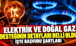 Elektrik ve doğal gaz desteğinin detayları belli oldu: İşte başvuru şartları...
