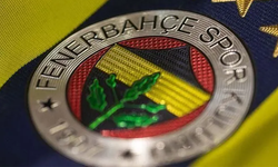 Fenerbahçe'de mali tablo açıklandı: Toplam borç ortaya çıktı