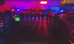 9 ilde 'nitelikli dolandırıcılık' ve 'yasa dışı bahis' operasyonu