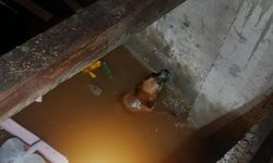 İnegöl'de inşaat kuyusuna düşen köpeği itfaiye kurtardı!