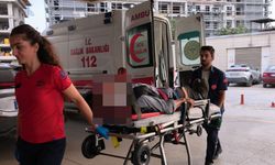 Bursa İnegöl’de ceviz hasadı kanlı başladı