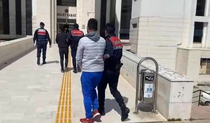 Jandarmadan hırsız ve zehir tacirine şok baskın