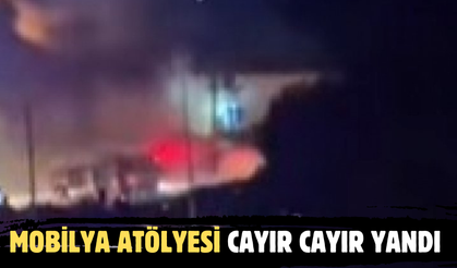 Bursa'da mobilya atölyesinde yangın