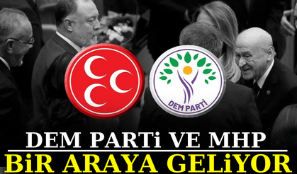 DEM Parti ve MHP bir araya geliyor! Tarih, yer ve saat belli oldu