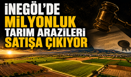 İnegöl'de milyonluk tarım arazileri satışa çıkıyor