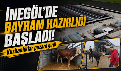 Bursa İnegöl'de hayvan pazarına kurbanlık girişleri başladı