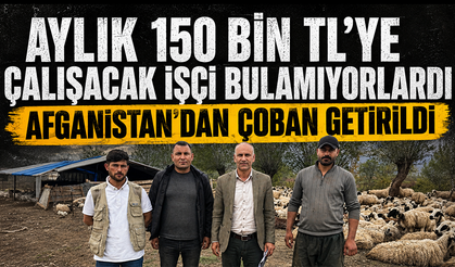 Türkiye’de bir ilk! Afganistan’dan çoban getirildi, asgari ücret alacaklar