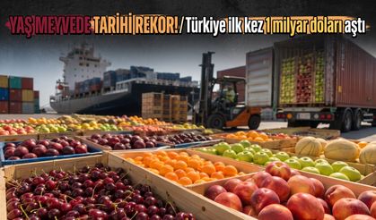 Yaş meyvede tarihi rekor! Türkiye ilk kez 1 milyar doları aştı