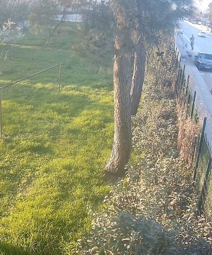 Bursa İznik'te otomobil bisikletliye çarptı: 63 yaşındaki adam yaşamını yitirdi