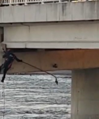 Bursa Karacabey'de asılı kalan güvercini halatla inip kurtardılar