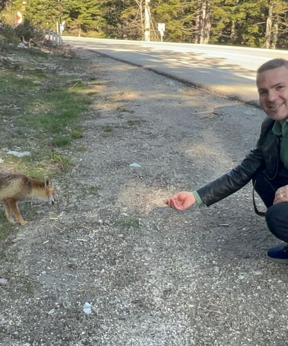 Uludağ dönüşü aç tilkiye peynirli kraker ikramı