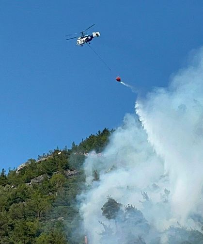 Bursa'da ormanlık alanda yangın