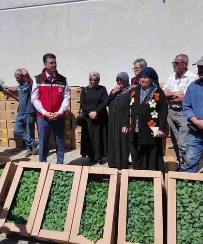 Tekirdağ'da 407 üreticiye 256 bin yazlık sebze fidesi dağıtıldı