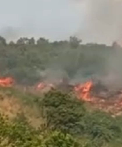 Bursa Gemlik'te makilik alan alev alev yandı!