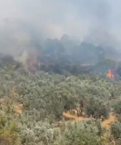 Tarım ve Orman Bakanlığı'ndan Bursa'daki orman yangınıyla ilgili açıklama!