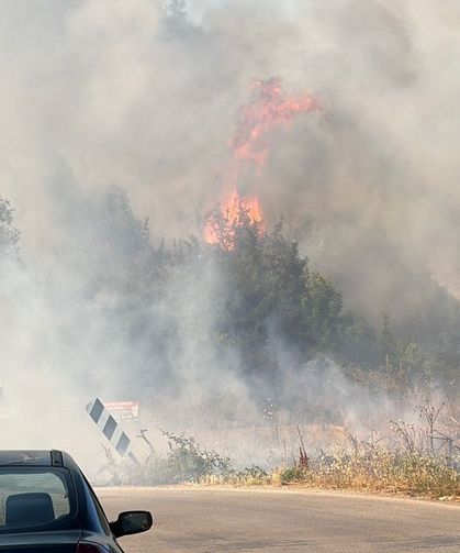 Bursa İznik'te korkutan yangın!