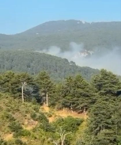 Şahin Biba duyurdu: Uludağ'da çıkan yangın ekiplerce kontrol altına alındı