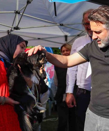 Büyükşehir'den can dostları için yuva seferberliği