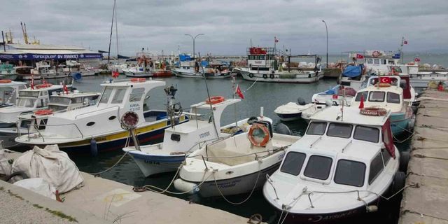 Karabiga’da jumbo karides av sezonu 15 Mayıs’ta başlıyor