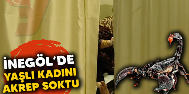 İnegöl'de Akrep sokan kadın hastanelik oldu