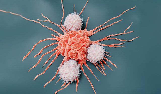 Kanser Nedir? Kanserin Nedenleri Nelerdir? Kanser Türleri