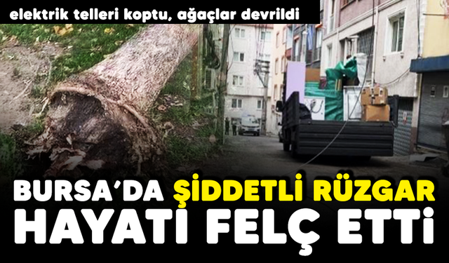 Bursa’da şiddetli rüzgar hayatı felç etti! Elektrik telleri koptu...
