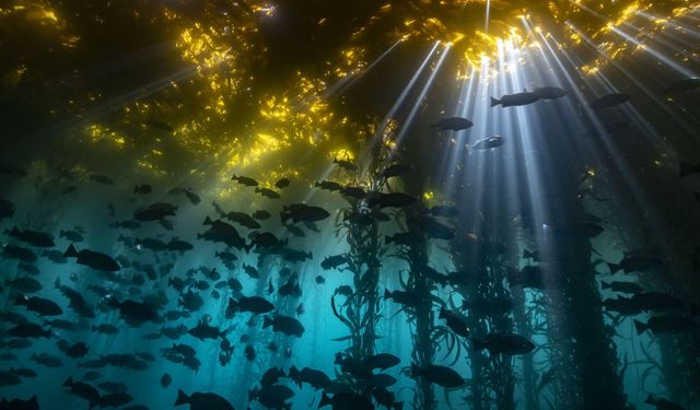 Dünya Yüzeyinin Altında Devasa Bir Okyanus Olabilir