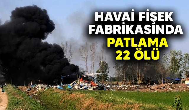 Havai fişek fabrikasında patlama: 22 ölü