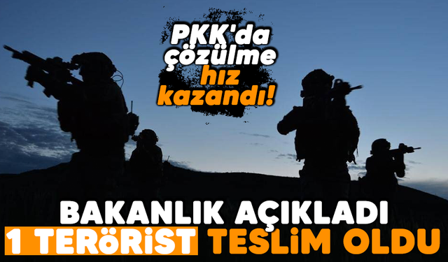 PKK'da çözülme hız kazandı! Bakanlık açıkladı: 1 terörist teslim oldu
