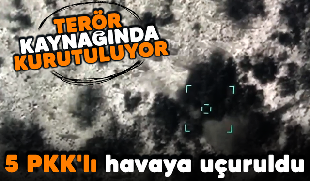 MSB açıkladı: 5 PKK'lı havaya uçuruldu