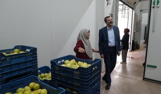 Hayriye Teyze’den Gürsu Armuduna Örnek Girişimcilik