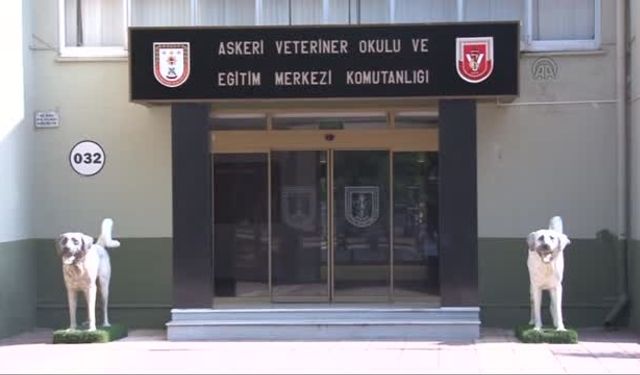 ASKERİ VETERİNER OKULU VE EĞİTİM MERKEZ KOMUTANLIĞI TARAFINDAN VETERİNER AŞI VE İLAÇ ALIMI YAPILACAK