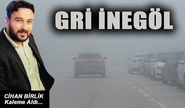 GRİ İNEGÖL