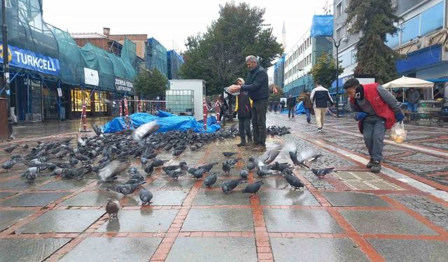 Soğukta aç kalan güvercinlerin yardımına yetiştiler