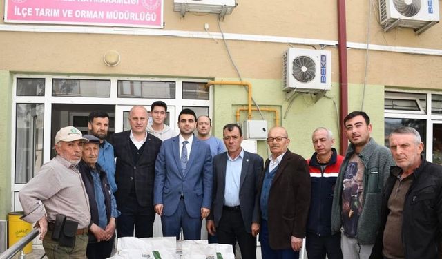 Çiftçilere ayçiçeği tohumu desteği ile bereketli topraklara katkı