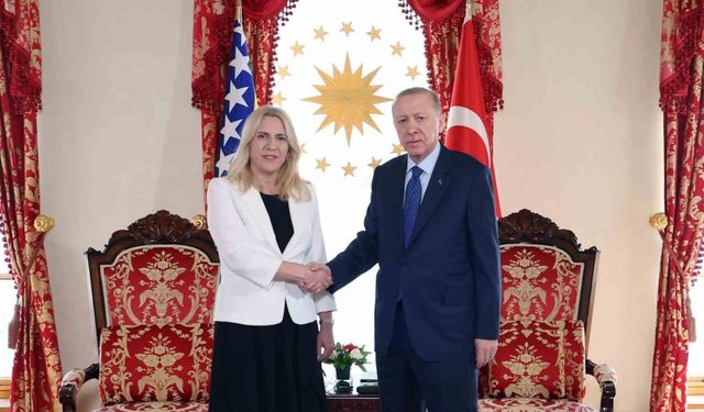 Cumhurbaşkanı Erdoğan, Bosna Hersek Devlet Başkanlığı Konseyi Başkanı Sviyanoviç ile görüştü