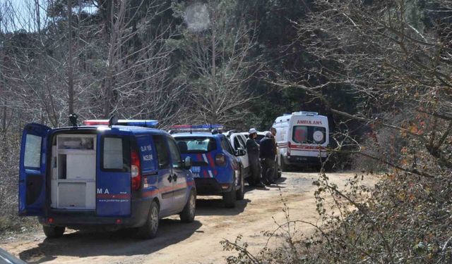 Ormanlık alanda park halindeki kamyonette başından vurulmuş halde bulundu