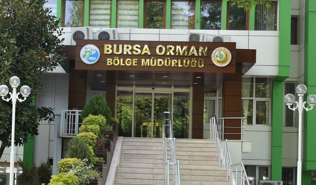 BURSA ORMAN BÖLGE MÜDÜRLÜĞÜ TARAFINDAN MAKİNELİ ARAZİ HAZIRLIĞI HİZMETİ ALINACAK