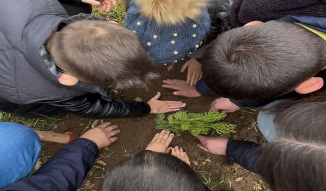 En özel fidan dikimi